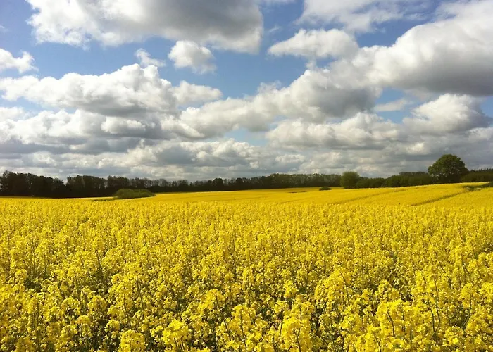 Apartment Gut Karlsminde Waabs